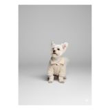 Buddy Store Furry Warmth Koleksiyonu - Beyaz Polar Ceket / Kürk
