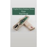 Budigift Tüylü Divit Kalem Tavus Kuşu Yeşil