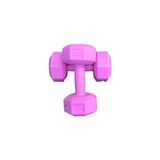 Buffer 2 kg Dambıl Seti Ağırlık Seti 2 kg 2 Adet ( Pembe )