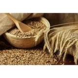 Buğday 1 kg Doğal Buğday Hormonsuz Ilaçsız Buğday Tavuk Yemi Güvercin Yemi Buğday Tohumu Bu�