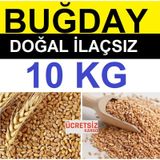 Buğday 10 Kg Yemlik Buğday Tavuk Yemi Güvercin Yemi Kanatlı Yemi