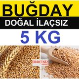 Buğday 5 Kg Yemlik Buğday Tavuk Yemi Güvercin Yemi Kanatlı Yemi