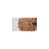 Buğday Çimi Tohumu 1 kg Doğal Organik Hormonsuz Yerli Buğday