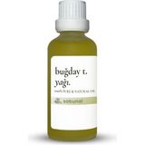 Buğday Tohumu Yağı 50 ml - Yoğun Nem Destekli Selülit Karşıtı Doğal Yağ