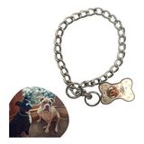 Buğz® 65 cm Uzunlukta Zincir Model Köpek Için Boyun Tasması