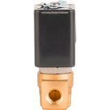 Buhar Solenoid Valf Normalde Kapalı - 1/4" 110V AC