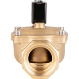Buhar Solenoid Valf Normalde Kapalı - 2" 24V DC