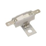 Buharlı Ütü Termik 255 °C Termostat (549714717)