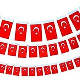 Buket BKT-305 6x10 cm 50'li Minik İpli Bayrak