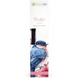 Buket Reed Diffuser Oda Kokusu 50 Ml, Çubuklu Ortam Kokulandırıcı, Uzun Süre Kalıcı Ev Ofis Banyo Salon Koku Difüzörü, Dekoratif Cam Şişe