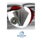 BULUT DİZAYN-10 M - Kıl Fitil: Cam Balkon-sürgü Sistemleri Kıl Fitili Taban 6,7 Mm Yükseklik 12 Mm TYC2MDH9YN169754825993357
