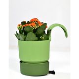 Buluthomes Ixora Tekli Askılı Balkon Saksı Yeşil Renk 2 Lt Genişlik 15 cm Yükseklik 22 cm Derinlik 15 cm