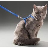 BulutRetail Kedi Boyun ve Göğüs Tasması