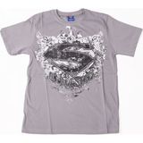 Bunlardan İstiyorum Superman Logo No:2 Tişört Gri