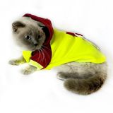 Bunny Bordo Fosfor Kapsonlu Sweatshirt Kedi Süeteri Kedi Kıyafeti