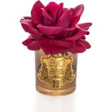 Buon Odore Amber Cam Gold Bordo Tek Gül Oda Kokusu