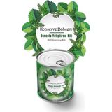 Buradabuldun® Konserve Bahçem Evde Konservede Dereotu Yetiştirme Kiti Aparatı