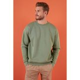 Buratti 5905255 Elma Regular Fit Bisiklet Yaka Pamuklu İçi Tüylü Yumuşak Şardonlu Erkek Sweat