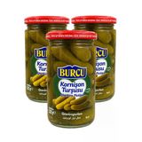 Burcu Kornişon Turşusu Cam Kavanoz 320 Gr X 3 Adet