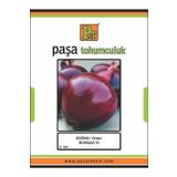 Burgaz-010 Soğan Tohumu 500 Gr.