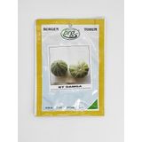 Burgen Tohum 10 gr Damga Kavun Tohumu