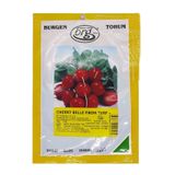 Burgen Tohum 10 gr Fındık Turp Tohumu