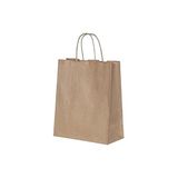 Burgu Saplı Kağıt Poşet Çanta 18x8x23 cm (10 Adet)