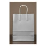 Burgu Saplı Karton Kraft Çanta 5'li - Gümüş - 18 x 8 x 24 cm