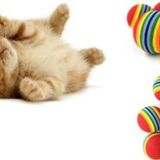 Büro Ev Evcil Hayvanı için 2ADET Alaca Kedi Köpek Oyun Topu