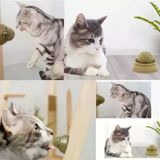 Büro Ev Evcil Hayvanı için Kedi Nanesi Oyun Topu