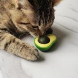 Büro Ev Evcil Hayvanı için Yapışkanlı Yenilir Avakado Nane Otu Kedi Oyun