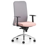 Bürotime Comfy Başlıklı Sabit Kol Alüminyum Ayak Gri Somon Çalışma Koltuğu