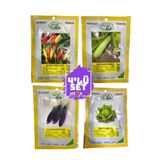Bursa Tohum 4'Lü Tohum Seti Mega Tarım ( Cin Biber- Sakız Kabak-Uzun Patlican-Top Marul) 10 Gr'Lık Paket