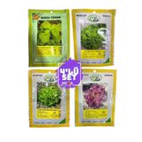 Bursa Tohumculuk 4'Lü Tohum Seti ( Semizotu-Kışlık Kıvırcık-Arapsaçı Marul -Kırmızı Marul) 10 Gr Paketler