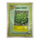 Bursa Tohumculuk BT İri Kıvırcık (Arapdaçı) Marul Tohumu 25 gram