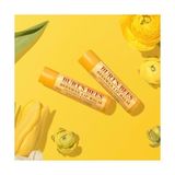 Burt's Bees Beeswax Dudak Bakım Kremi - Nane Ferahlığı - standart