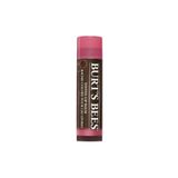 Burt's Bees 4.25 g Gül Kurusu Renkli Dudak Bakım Kremi