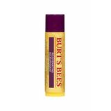Burt’s Bees 4.25 gr Acai Meyve Özlü Dudak Bakım Kremi