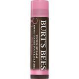 Burt's Bees Burts Bees Renkli Dudak Bakım Kremi Açık Pembe - Tinted Lip Balm Pink Blossom 4,25 gr