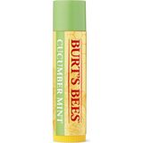 Burt's Bees Cucumber Mint 4.25 g Dudak Balmı