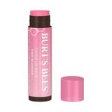 Burt's Bees Pink Blossom 4.25 gr Renkli Dudak Bakım Kremi