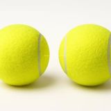 Busstier 2'li Köpek Oyun Topu 7.5 cm Orta Boy Premium Kalite Tenis Topu, Eğitim ve Oyun Amaçlı, Dayanıklı Evcil Hayvan Oyuncağı, Diş Dostu Tasarım