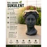 Büst Saksıda Canlı Sukulent Dekoratif Hediyelik Bitki | Özel Tasarım Kadın Büstü, Canlı Sukulent Bitki, İç ve Dış Mekan, Dayanıklı Malzeme, Az Sulama Gerektirir