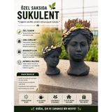 Büst Tasarımlı Saksıda Canlı Sukulent, 2'li Dekoratif Set