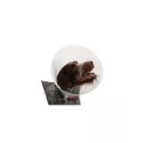 Buster Elizabeth Köpek Yakalığı. Transparan. 20 Cm