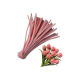 Butik 50 Adet Pastel Pembe Şönil, Çiçek Yapımına Uygun Tüylü Tel, 30 Cm 6mm