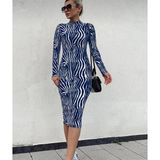 Butik Kadın Uzun Kollu Mikro Midi Elbise