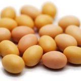 Buy Easy 20 Kahverengi Tavuk Yumurtası Paskalya Boyutu 0,7 cm Bebek Evi Minyatürleri Yiyecek Mutfak Doktorasyonu