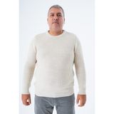 Büyük Beden Erkek Bej Selanik Örgü Bisiklet Yaka Triko Yün Kazak TRIST-2116 - 4XL
