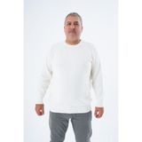 Büyük Beden Erkek Kemik Bisiklet Yaka Pirinç Örgü Pamuk Triko Kazak TRIST-2112 - 4XL